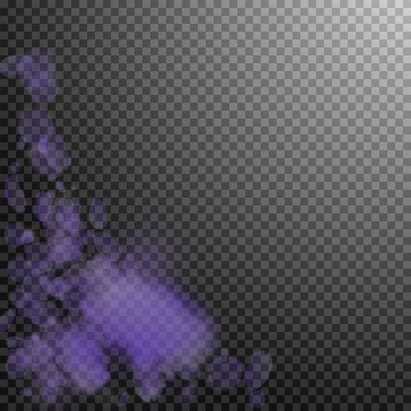 Лепестки Фиолетовых Цветов Падают Ценный Романтический Цветочный Уголок Летающий Лепесток — стоковый вектор