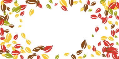 Sonbahar yaprakları dökülüyor. Kırmızı, sarı, yeşil, kaotik yapraklar uçuşuyor. Simetrik beyaz arka planda renkli bir yaprak. Güzel, okul satışına geri döndü..