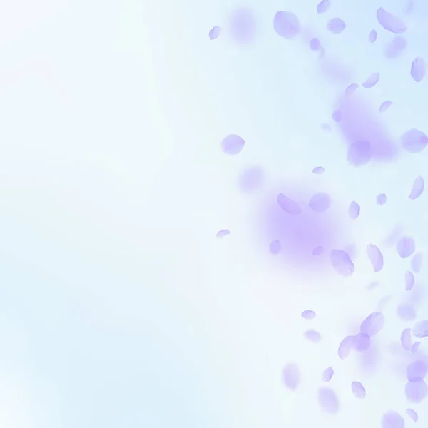 Фіолетові Пелюстки Квітів Падають Вниз Досить Романтичний Градієнт Квітів Літаюча — стоковий вектор