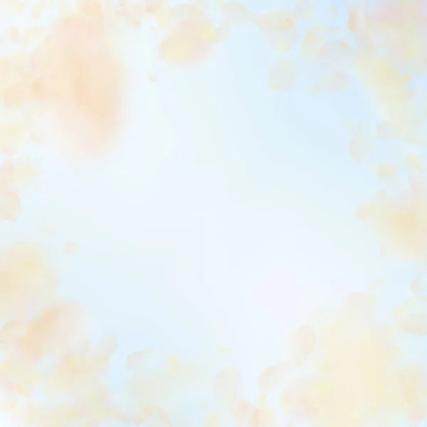 黄色的橙花花瓣掉了下来 引人注目的浪漫之花 蓝天正方形背景上飘扬的花瓣 浪漫的概念 创意婚宴邀请函 — 图库矢量图片