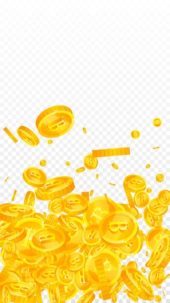 Bitcoin Die Internetwährung Coins Fallen Angenehm Verstreute Btc Münzen Kryptowährung — Stockvektor