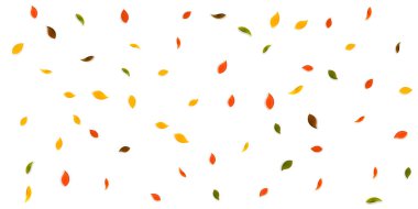 Sonbahar yaprakları dökülüyor. Kırmızı, sarı, yeşil, kahverengi yapraklar uçuşuyor. Güzel günbatımı arka planında yağan renkli yapraklar. Okul satışına geri dönmek büyüleyici..