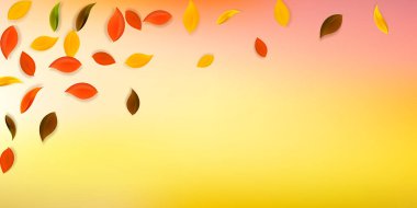 Sonbahar yaprakları dökülüyor. Kırmızı, sarı, yeşil, kahverengi, temiz yapraklar uçuşuyor. Muhteşem beyaz arka planda yağan renkli yapraklar. Okul satışına geri dönmek büyüleyici..