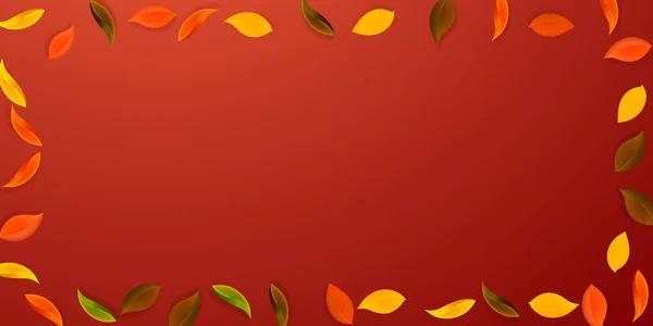 Fallende Herbstblätter Rote Gelbe Grüne Braune Saubere Blätter Fliegen Rahmen — Stockvektor