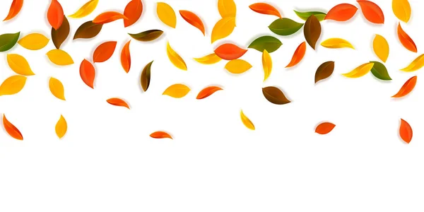 Padající Podzimní Listí Červené Žluté Zelené Hnědé Úhledné Listí Padající — Stockový vektor