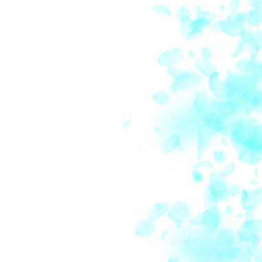 Turkuaz çiçek yaprakları dökülüyor. Sevimli romantik çiçekler gradyanı. Beyaz kare arka planda uçan taç yaprakları. Aşk, romantizm kavramı. Büyüleyici düğün davetiyesi..