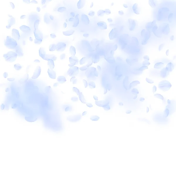 薄青の花弁が落ちてきます 卓越したロマンチックな花のグラデーション 白い四角形の背景に空飛ぶ花弁 恋愛概念 結婚式の招待状 — ストックベクタ