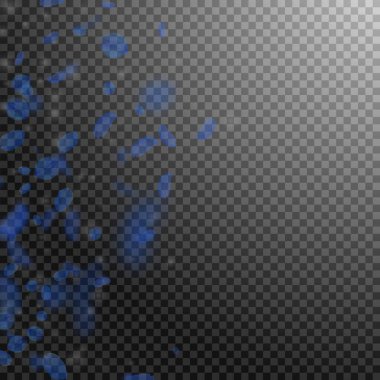 Koyu mavi çiçek yaprakları dökülüyor. Simetrik romantik çiçeklerin gradyanı. Şeffaf kare arka planda uçan taç yaprakları. Aşk, romantizm kavramı. Muhteşem düğün davetiyesi..