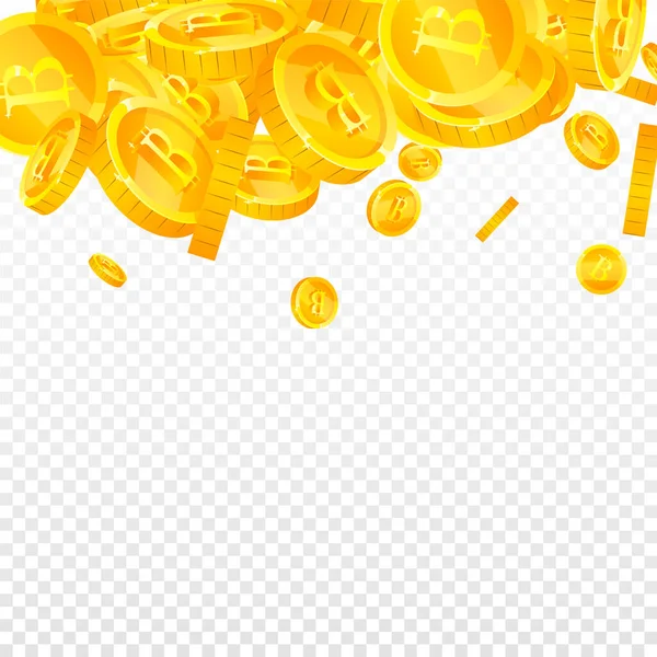 Bitcoin Les Pièces Monnaie Internet Tombent Pièces Btc Dispersées Exotiques — Image vectorielle