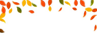 Sonbahar yaprakları dökülüyor. Kırmızı, sarı, yeşil, kahverengi, temiz yapraklar uçuşuyor. Gerçek günbatımı arka planında yağan renkli yapraklar. Okul satışına geri dönmek çok güzel..