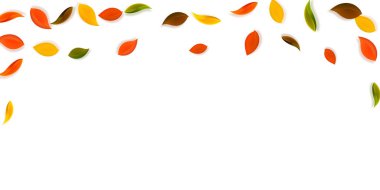 Sonbahar yaprakları dökülüyor. Kırmızı, sarı, yeşil, kahverengi, temiz yapraklar uçuşuyor. Harika bir günbatımı arka planında yağan renkli yapraklar. Güzel, okul satışına geri döndü..