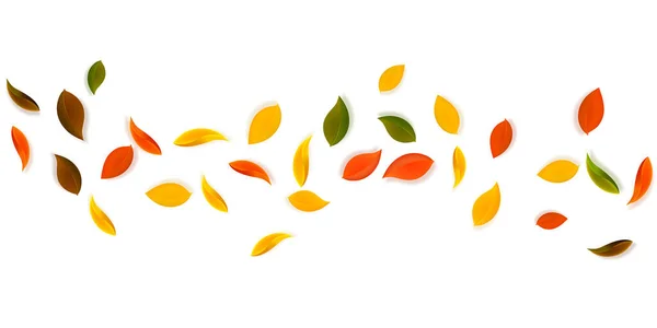 Folhas de outono caindo. Vermelho, amarelo, verde, marrom n — Vetor de Stock