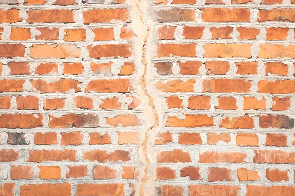 Camino de un caracol bloqueado por una grieta en la pared de ladrillo — Foto de Stock