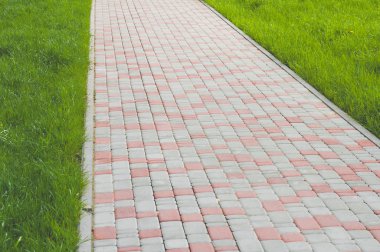 Taşların etrafında çimenler büyüyen bahçe taşı patikası.