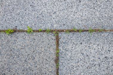 Speckled stone pavement with weed growth; Weed control clipart