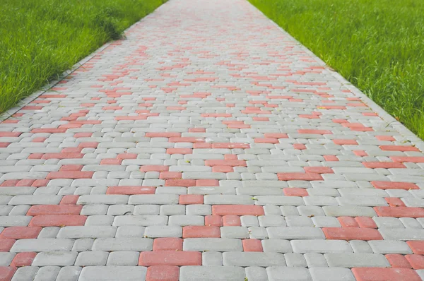 Döşeli kırmızı patika kesme Park yeşil çim çimen genelinde closeup