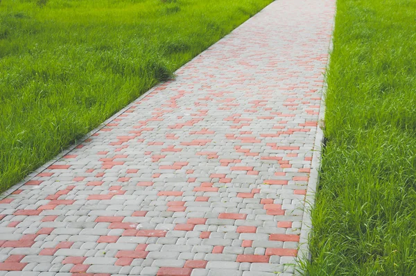 Yol, taze yeşil bahar ya da yaz bir Bahçe park Merkezi şehir şehir boş alanda tam uzunlukta yürüyüş veya ayakta insanlar için çim döşeme taş ile toprak arasında oluşturulmuş. Taş blok Park yeşil çim arka plan ile yol yürümek