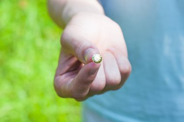 büyük bir şapka ile küçük bir çivi. Mobilya kaplama için kullanılır