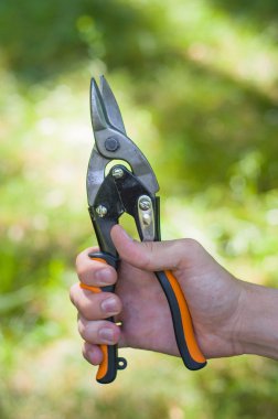 çim zemin üzerine metal tutan adam el makas