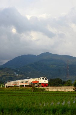 Tren güzel manzaralı yeşil pirinç tarlalarını geçer..