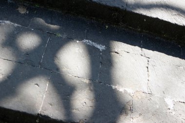 Bahçedeki yemyeşil bitkiler ve ağaçlarla çevrili taş merdivenler.