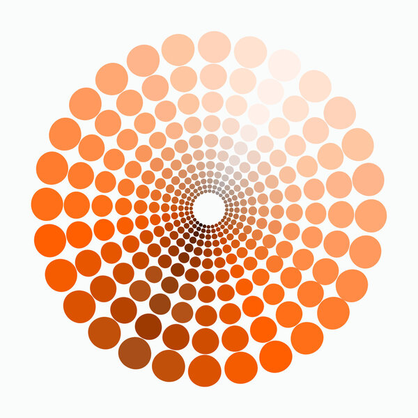 color circle shades of orange. vector illustration