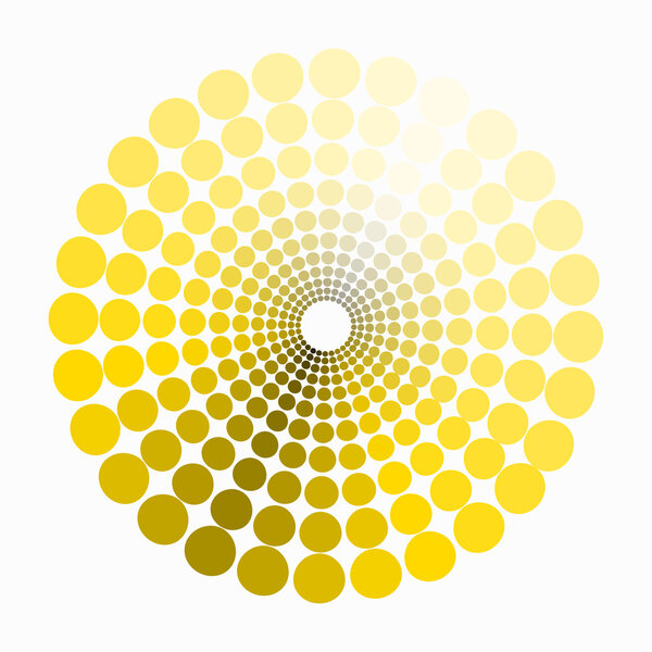 color circle shades of yellow. vector illustration