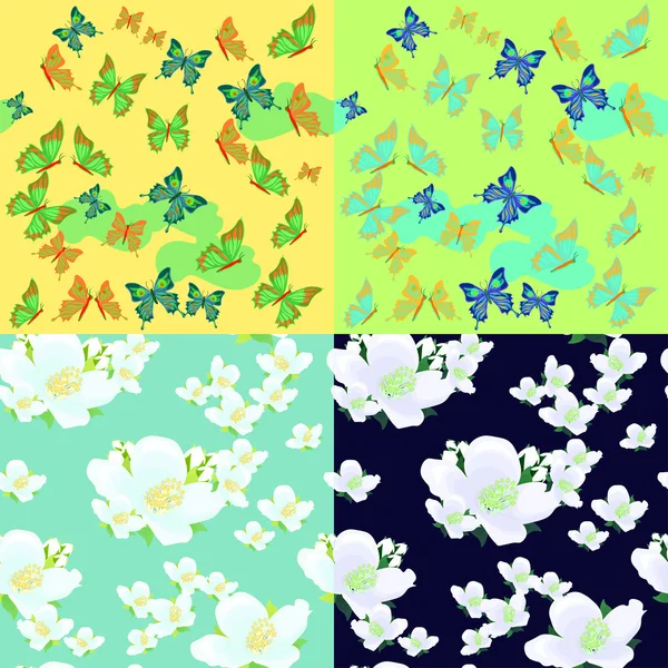 Ensemble de fleurs de jasmin, papillons vecteur lumineux sans couture illu — Image vectorielle