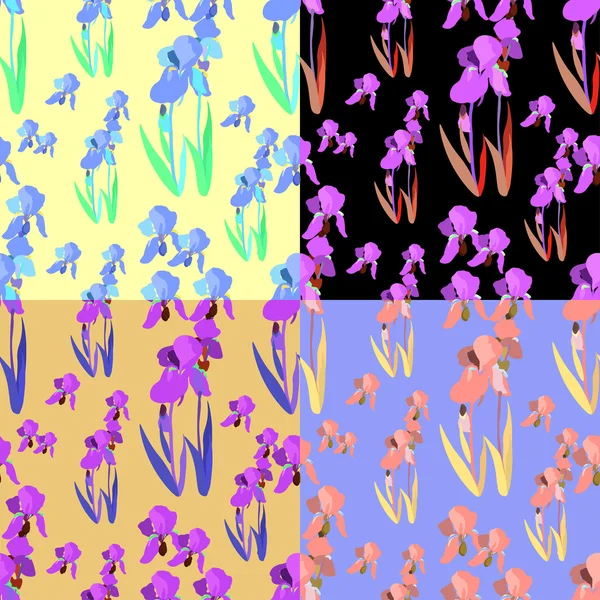Iris květiny sada bezešvé světlé. vektorové ilustrace — Stockový vektor