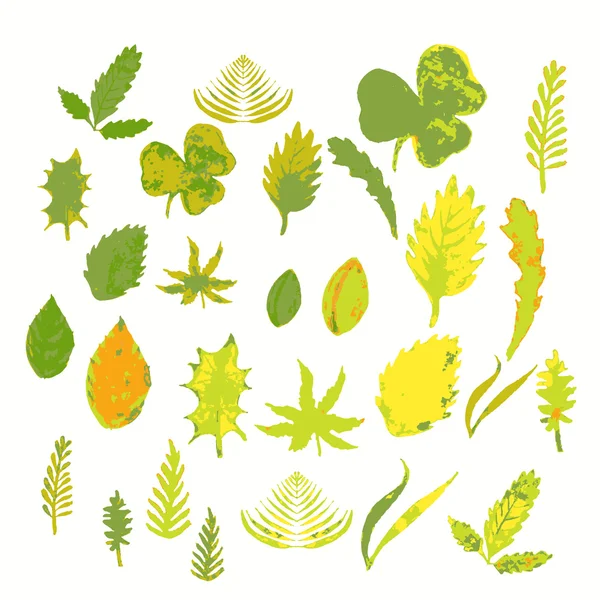 Jeu de feuilles, herbes été, automne.illustration vectorielle — Image vectorielle