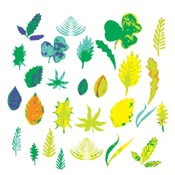 Jeu de feuilles, herbes été et automne.illustration vectorielle — Image vectorielle