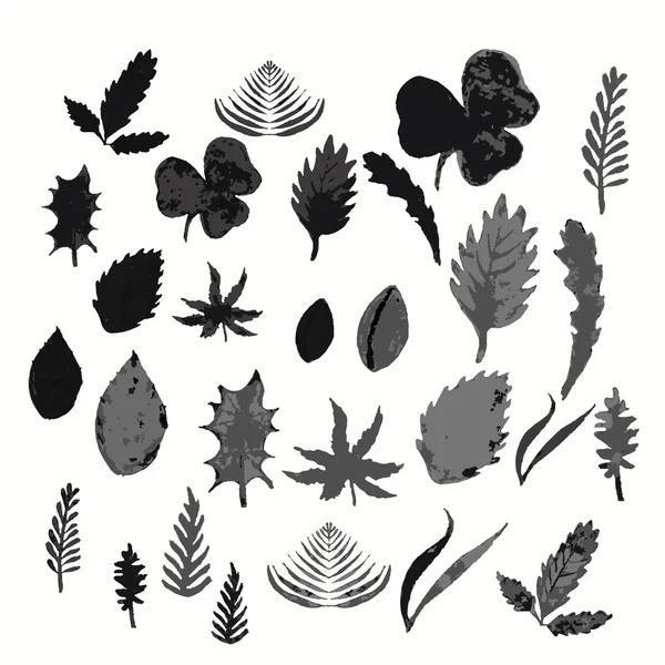 Jeu de feuilles et d'herbes monochrome.vector illustration — Image vectorielle