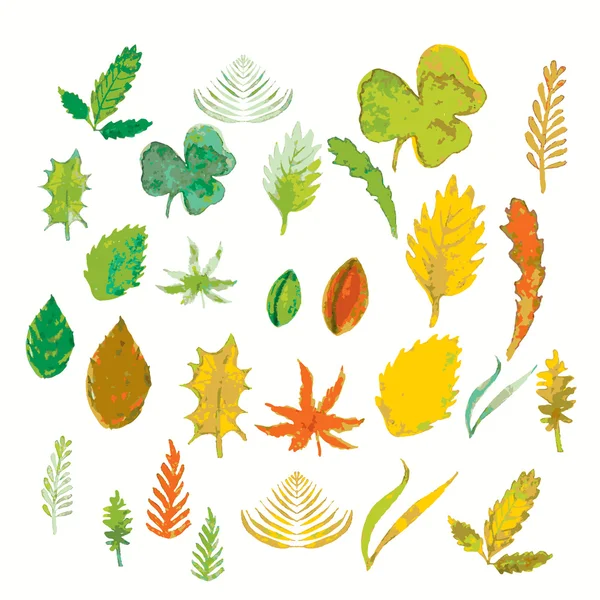 Jeu de feuilles et d'herbes été et automne.illustration vectorielle — Image vectorielle