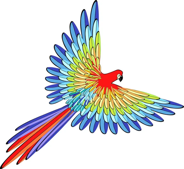 Caribe rojo el loro volando. ilustración vectorial — Vector de stock