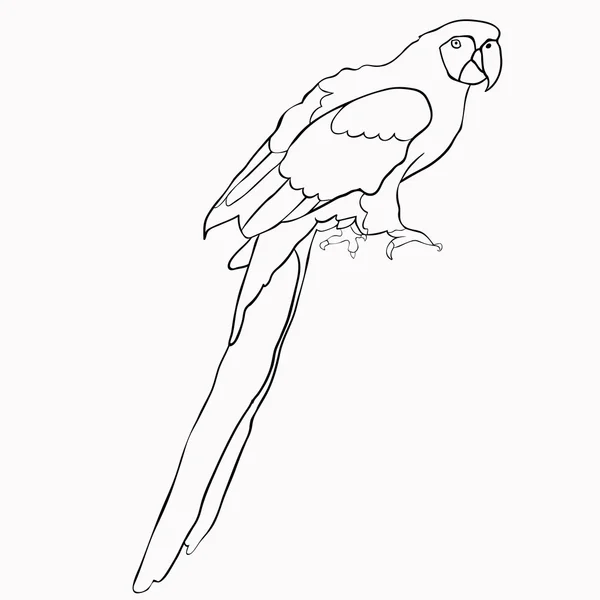 Colorazione di pappagallo caraibico seduto. illustrazione vettoriale — Vettoriale Stock