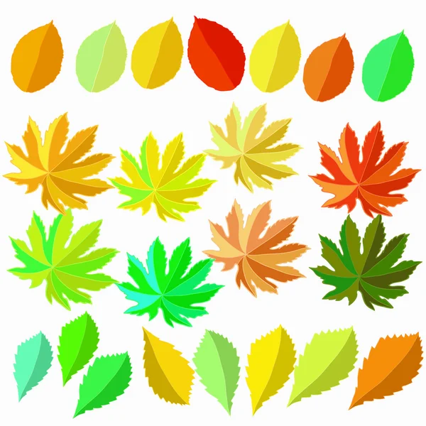 Jogo de folhas de outono, verão. ilustração vetorial — Vetor de Stock