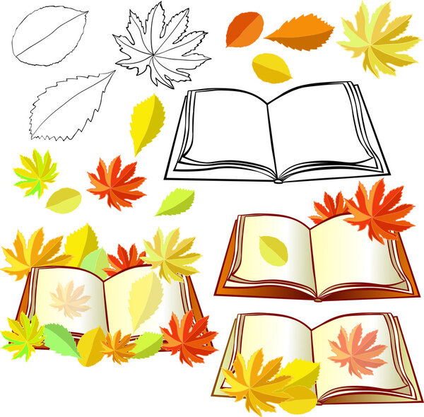 set of autumn with leaves and educational books. vector illustra