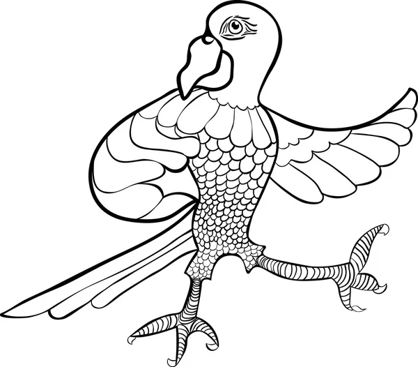 Guacamayo vector, gráfico vectorial, imágenes de Guacamayo vectoriales