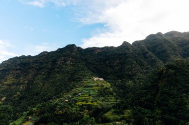 Scenic view of a verdant hillside featuring terraced agriculture and majestic mountains, illuminated by sunlight, creating a tranquil and picturesque environment