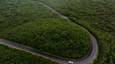 gür yeşil orman üzerinden dolambaçlı yol