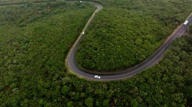 Yeşil arazide dolambaçlı yol