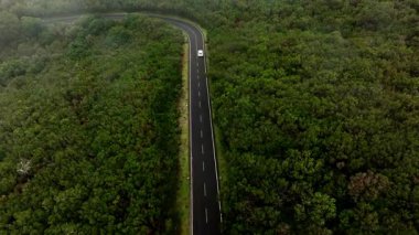 gür yeşil orman üzerinden dolambaçlı yol