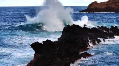 Dalgalar kayalık kıyı şeridine çarpıyor