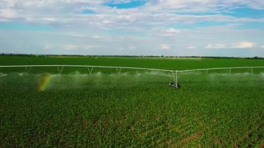 Çiftlik Sulama Sistemi ve Mısır Tarlalarının Hava Görüntüsü