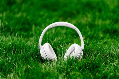 Canlı yeşil çimenlere yerleştirilmiş kulaklıklar, çağdaş bir stili ön plana çıkarıyor, açık hava dinleme deneyimleri için ideal, rahatlamayı ve doğayla bağlantıyı teşvik ediyor
