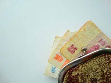 Mirasyedi bir çanta içinde