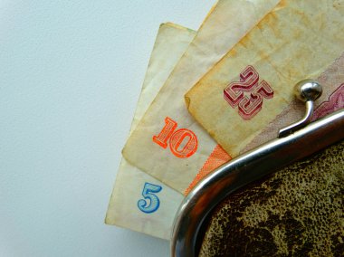 Mirasyedi bir çanta içinde