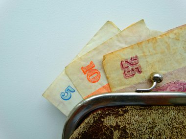 Mirasyedi bir çanta içinde