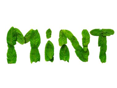 Masanın üzerine nane