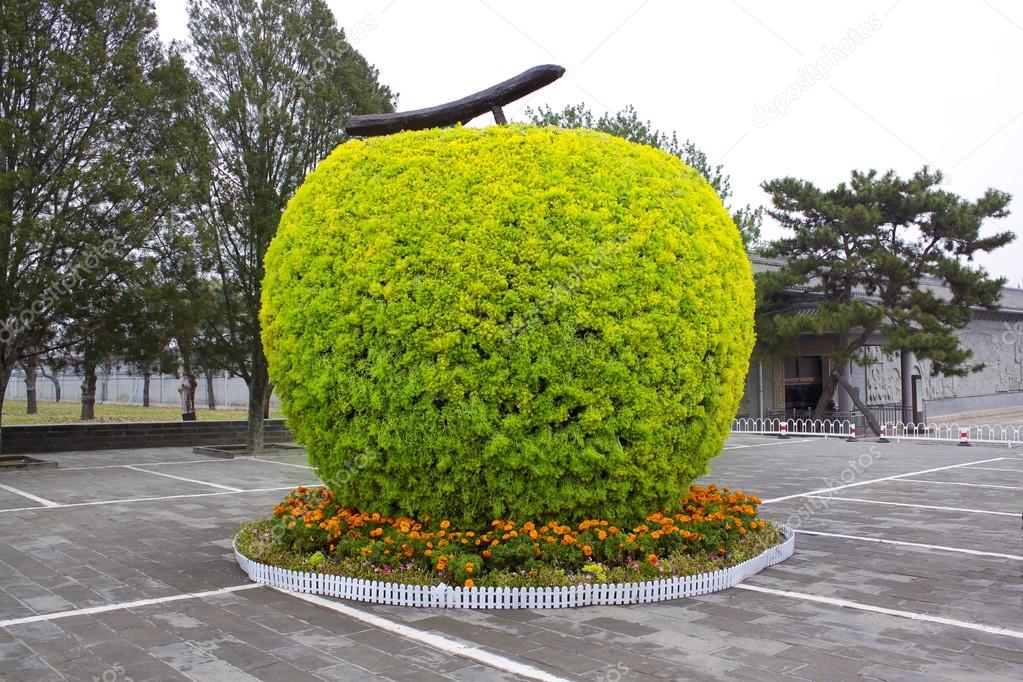 tree of apple shape